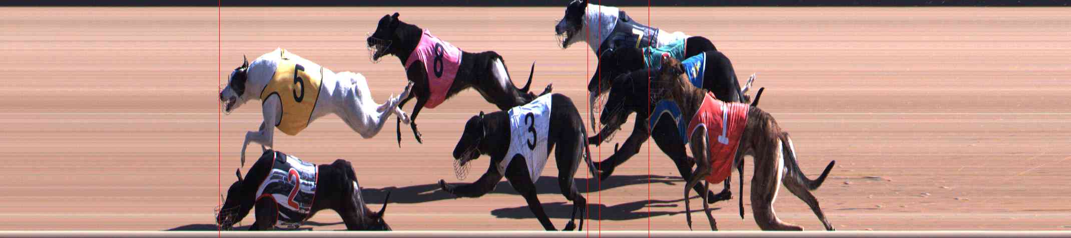 Race result finish photo